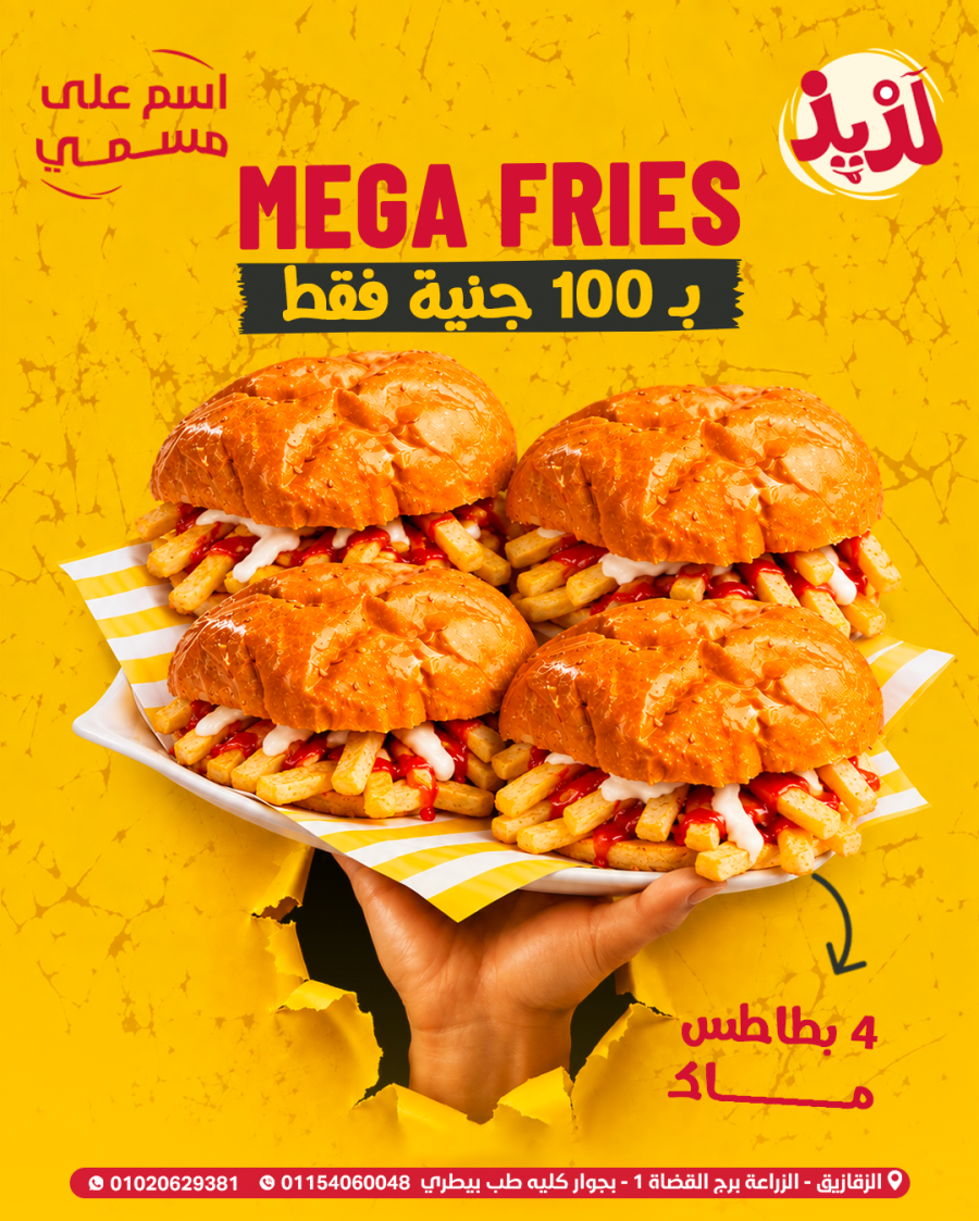 🍟Mega Fries